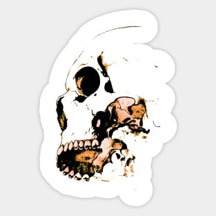 Skull sketch Sticker